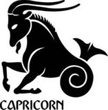 Capricorn Tribal Zodiac Sign Horoscope Symbol 18MM - 20MM Charm for Snap Jewelry