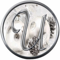 Christmas Silver Ornament & Frosted Pine Cones Monogram Alphabet Letters A - Z For Winter Holidays 18MM - 20MM Snap Charm Jewelry