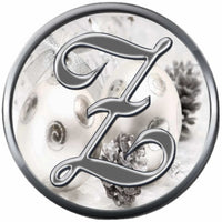 Christmas Silver Ornament & Frosted Pine Cones Monogram Alphabet Letters A - Z For Winter Holidays 18MM - 20MM Snap Charm Jewelry