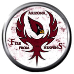 Arizona Cardinals NFL Football Cool Bird Logo 18MM - 20MM Snap Jewelry Charm New Item