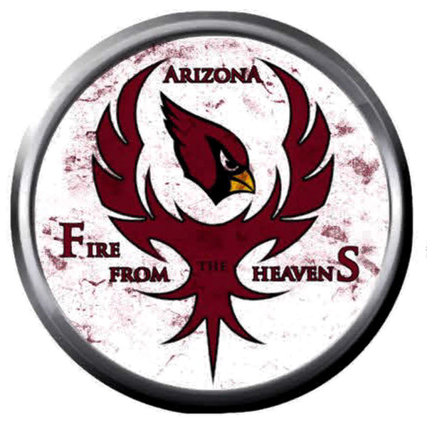 Arizona Cardinals NFL Football Cool Bird Logo 18MM - 20MM Snap Jewelry Charm New Item