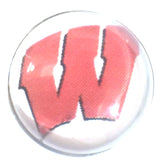 Wisconsin Badgers College Logo Fashion Snap Jewelry University Snap Charm