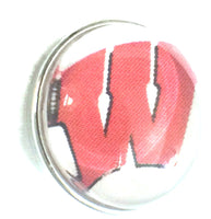 Wisconsin Badgers College Logo Fashion Snap Jewelry University Snap Charm