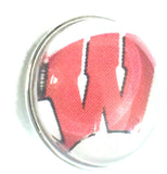 Wisconsin Badgers College Logo Fashion Snap Jewelry University Snap Charm