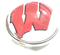 Wisconsin Badgers College Logo Fashion Snap Jewelry University Snap Charm