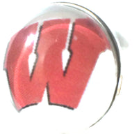 Wisconsin Badgers College Logo Fashion Snap Jewelry University Snap Charm