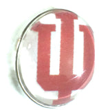 Indiana University IU College Logo Fashion Snap Jewelry University Snap Charm