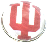 Indiana University IU College Logo Fashion Snap Jewelry University Snap Charm