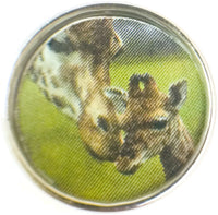 Mom Giraffe Nose Kissing Adorable Baby Picture 18MM - 20MM Fashion Snap Jewelry Charm