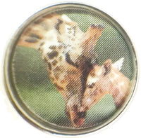 Sweet Mother And Baby Giraffe Picture Art 18MM - 20MM Fashion Snap Jewelry Charm