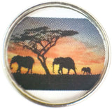 Mom Dad Baby Elephant Family Walking In The Sunset Picture 18MM - 20MM Fashion Snap Jewelry Charm