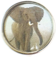 Wild Adult Elephant Picture 18MM - 20MM Fashion Snap Jewelry Charm