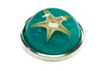 Floating Real Starfish Fashion Snap Jewelry  Snap Charm