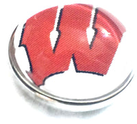 Wisconsin Badgers College Logo Fashion Snap Jewelry University Snap Charm