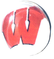 Wisconsin Badgers College Logo Fashion Snap Jewelry University Snap Charm