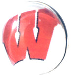 Wisconsin Badgers College Logo Fashion Snap Jewelry University Snap Charm