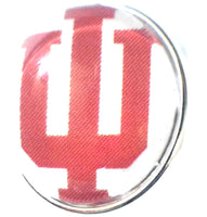 Indiana University IU College Logo Fashion Snap Jewelry University Snap Charm