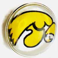 Iowa Hawkeyes College Logo Fashion Snap Jewelry University Snap Charm