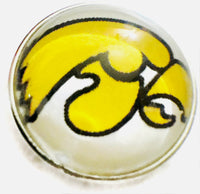 Iowa Hawkeyes College Logo Fashion Snap Jewelry University Snap Charm