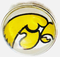 Iowa Hawkeyes College Logo Fashion Snap Jewelry University Snap Charm