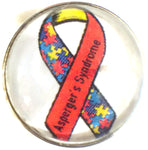 Aspergers Syndrome Awareness Ribbon Fashion Snap Jewelry Snap Charm