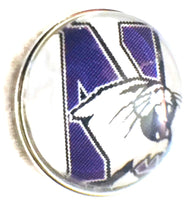 Northwestern Wildcats College Logo Fashion Snap Jewelry University Snap Charm