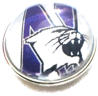 Northwestern Wildcats College Logo Fashion Snap Jewelry University Snap Charm