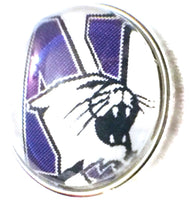 Northwestern Wildcats College Logo Fashion Snap Jewelry University Snap Charm