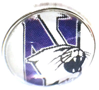 Northwestern Wildcats College Logo Fashion Snap Jewelry University Snap Charm