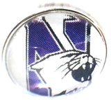Northwestern Wildcats College Logo Fashion Snap Jewelry University Snap Charm