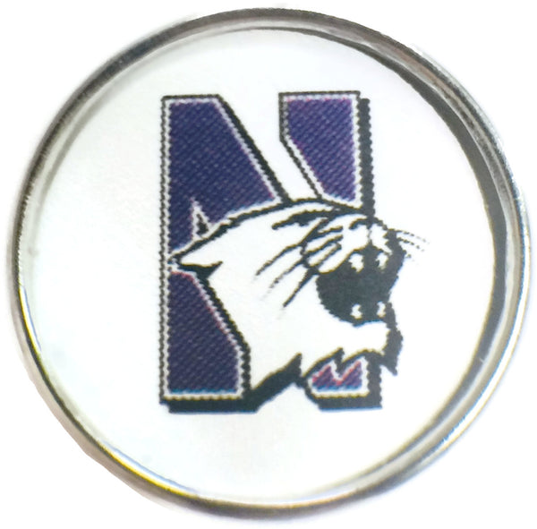 Northwestern Wildcats College Logo Fashion Snap Jewelry University Snap Charm