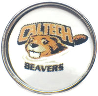 California Tech Cal Tech Beavers College Logo Fashion Snap Jewelry University Snap Charm