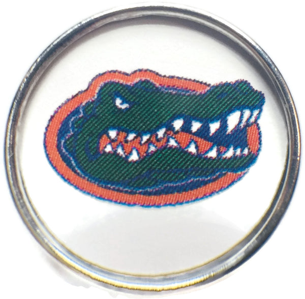 Florida Gators College Logo Fashion Snap Jewelry University Snap Charm