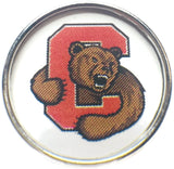 Cornell Touchdown The Big Red Bear College Logo Fashion Snap Jewelry University Snap Charm