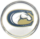 University of California UC Davis Aggies College Logo Fashion Snap Jewelry University Snap Charm
