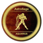 Aquarius Zodiac Astro Sign Symbol 18MM - 20MM Charm for Snap Jewelry