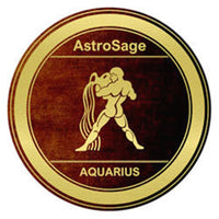 Aquarius Zodiac Astro Sign Symbol 18MM - 20MM Charm for Snap Jewelry