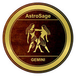 Gemini The Twins Astro Zodiac Sign Horoscope Symbol 18MM - 20MM Charm for Snap Jewelry