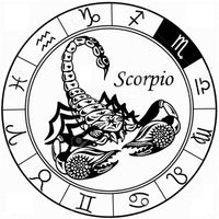Scorpio Scorpion In Zodiac Sign Horoscope Symbol 18MM - 20MM Charm for Snap Jewelry